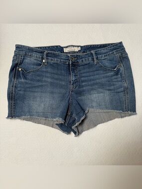 Torrid Shorts